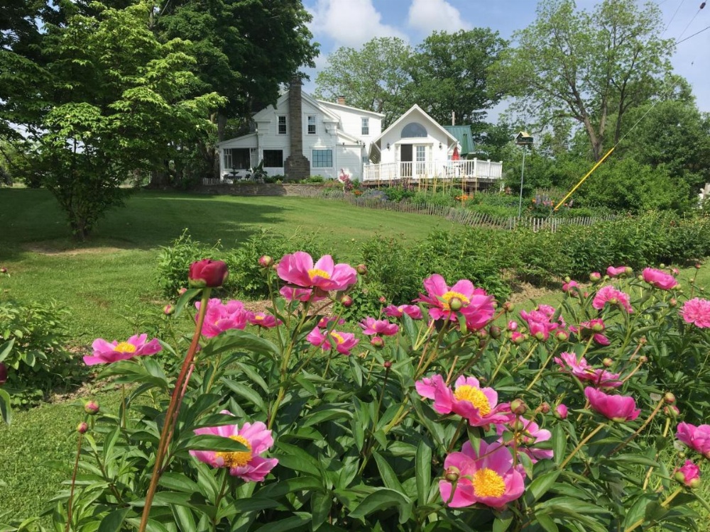 Enfield Manor Bed&Breakfast and Vacation Rental Image 31