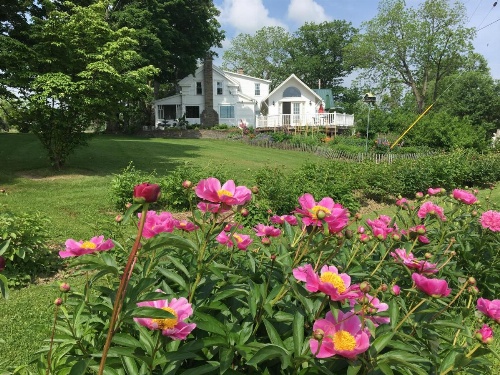 Enfield Manor Bed&Breakfast and Vacation Rental image 31
